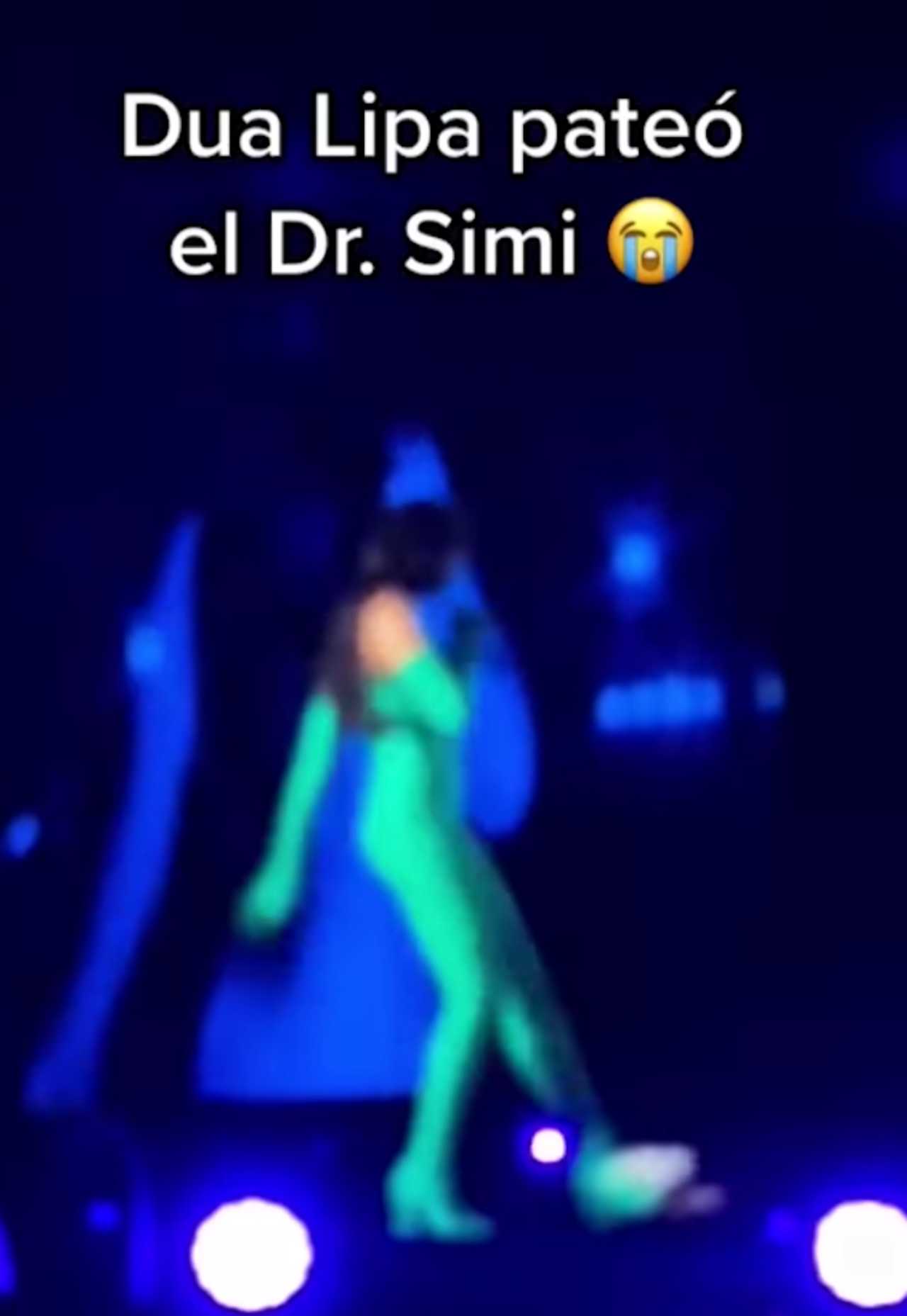 Dua peluche de simi