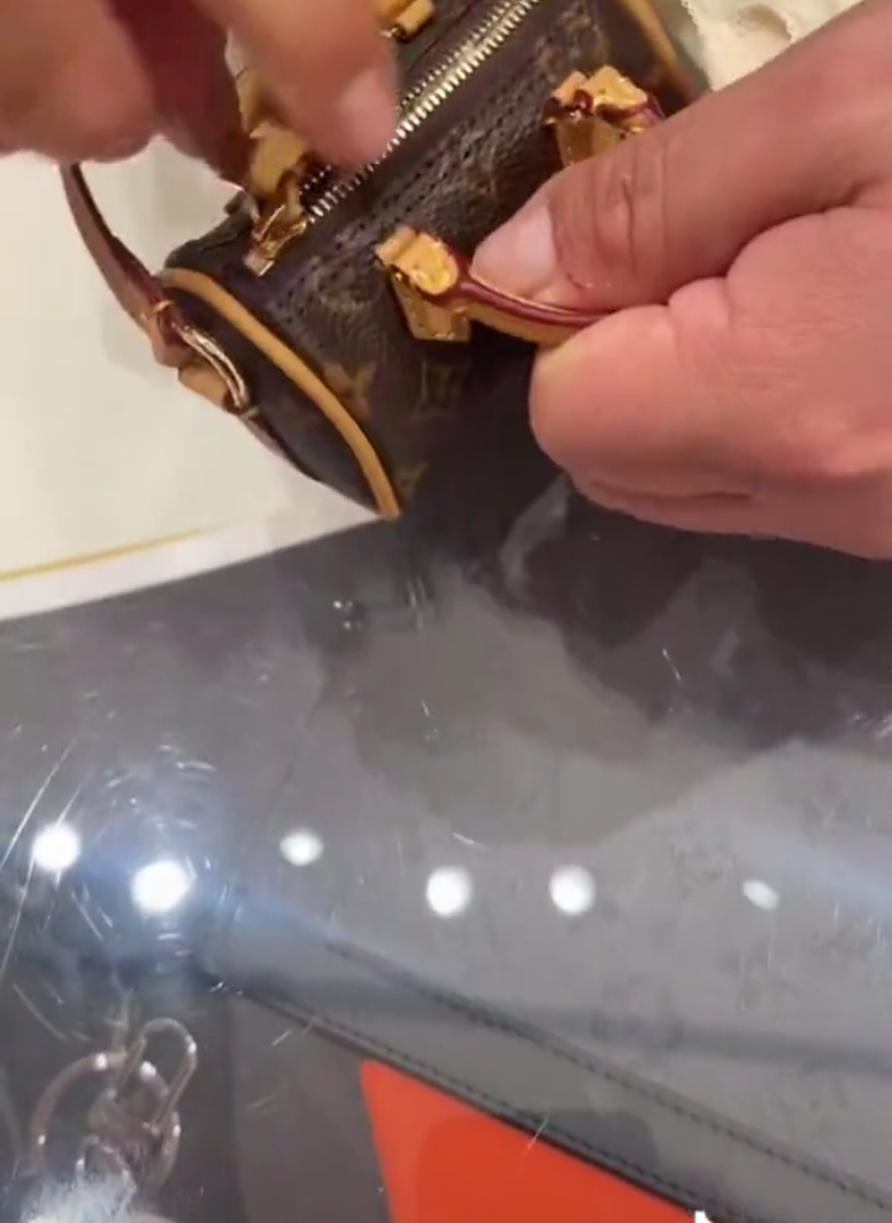 Louis Vuitton bolsa caca perro