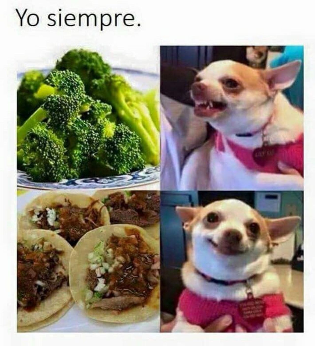 Meme tacos extranjera critica comida mexicana