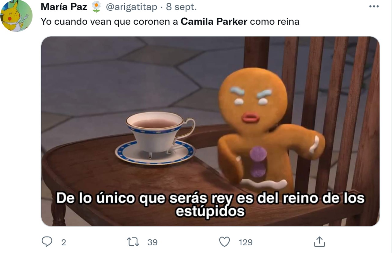  Camila Parker memes lady di corona britanica