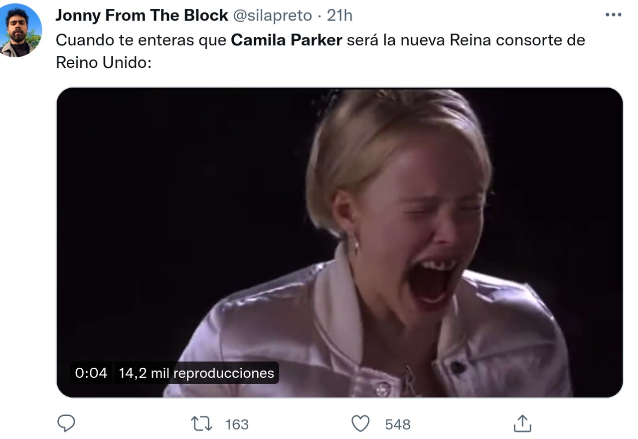  Camila Parker memes lady di corona britanica