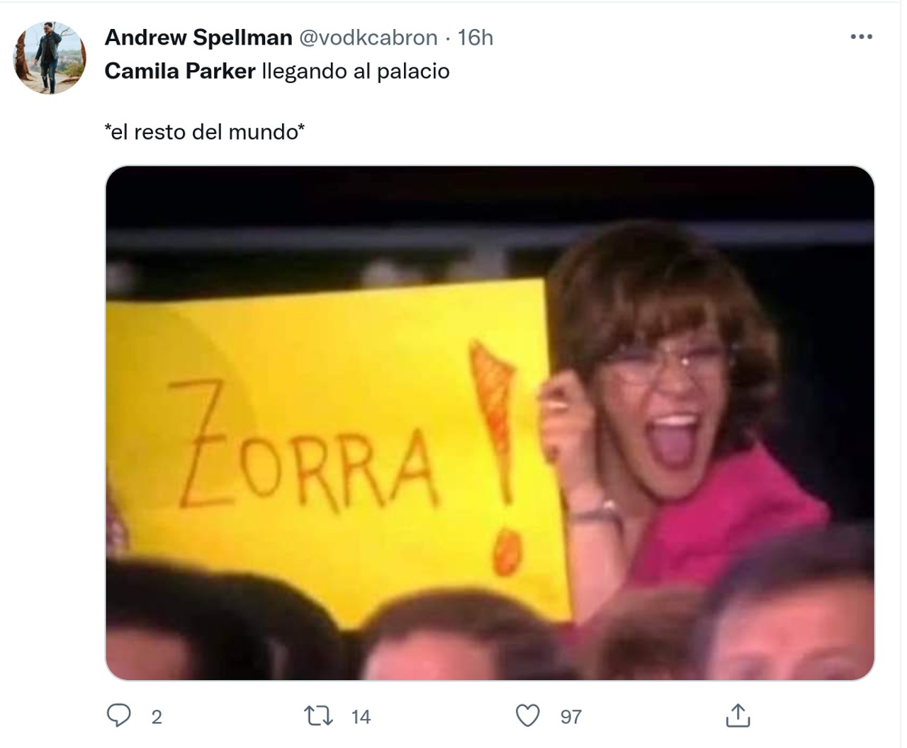  Camila Parker memes lady di corona britanica