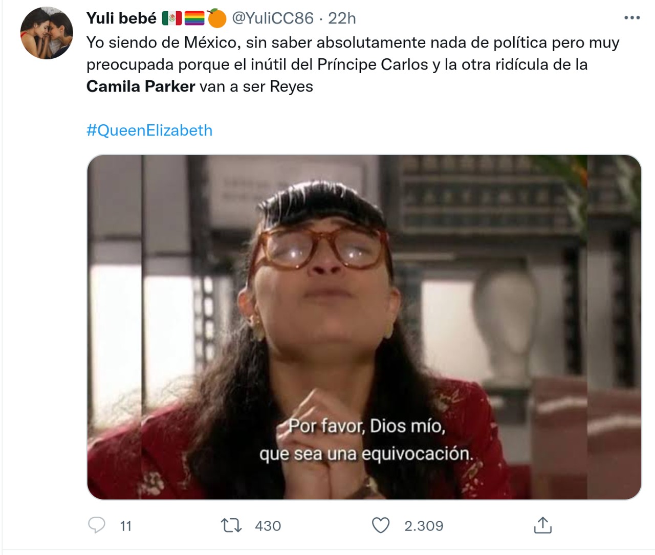 Camila Parker memes lady di corona britanica