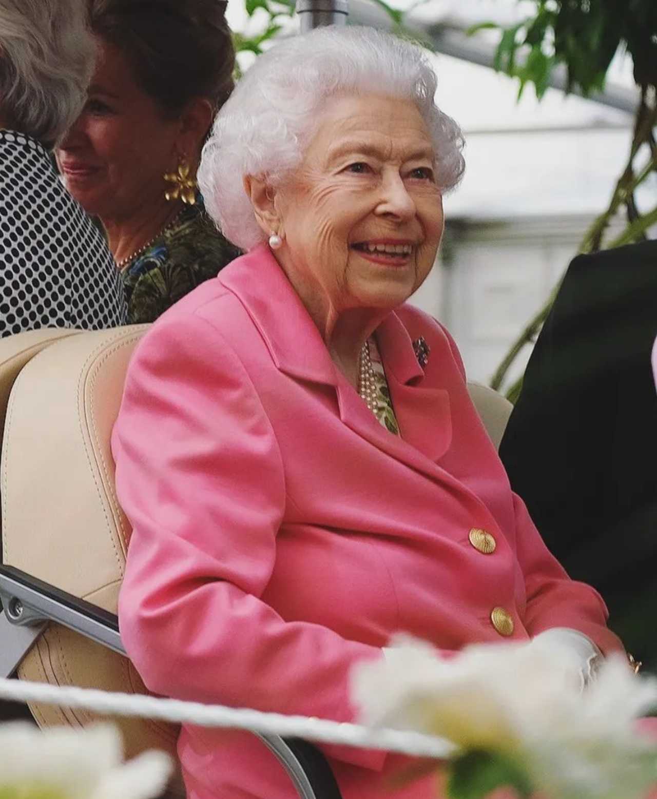 Reina dinero familia