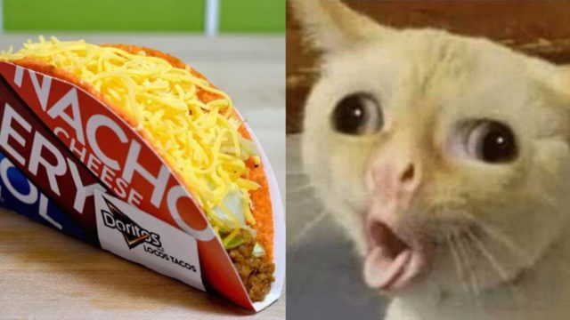 tacos gringos los peores del mundo