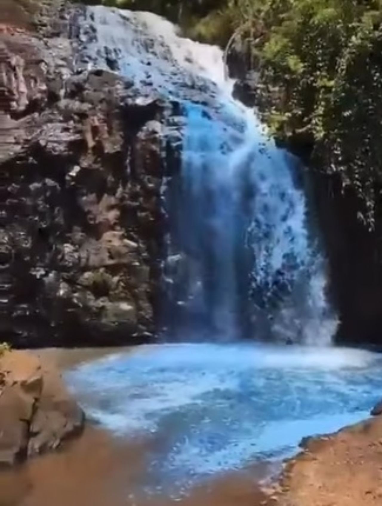 Pareja tiñe azul cascada revelacion genero
