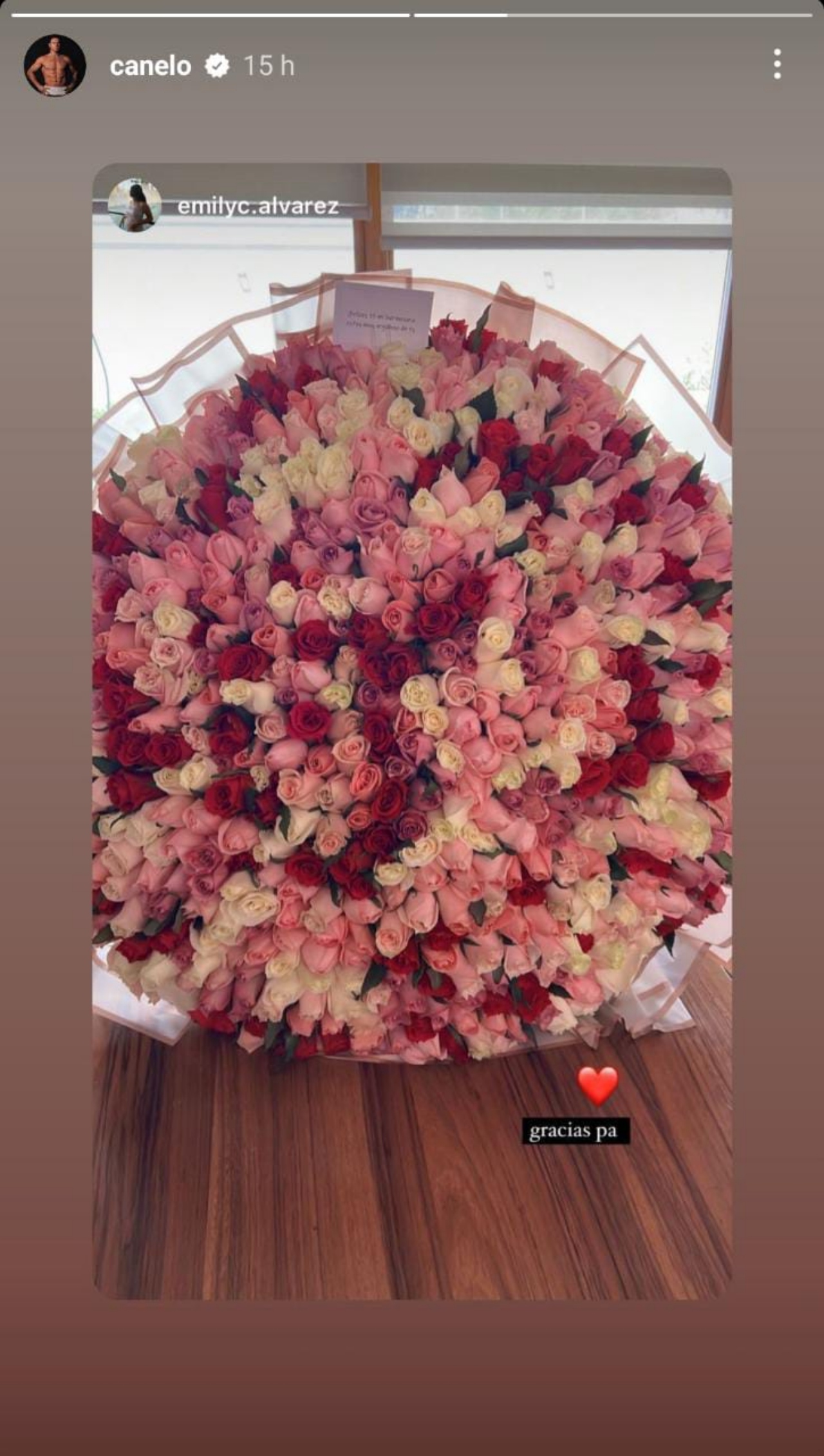 Canelo detalle para su hija