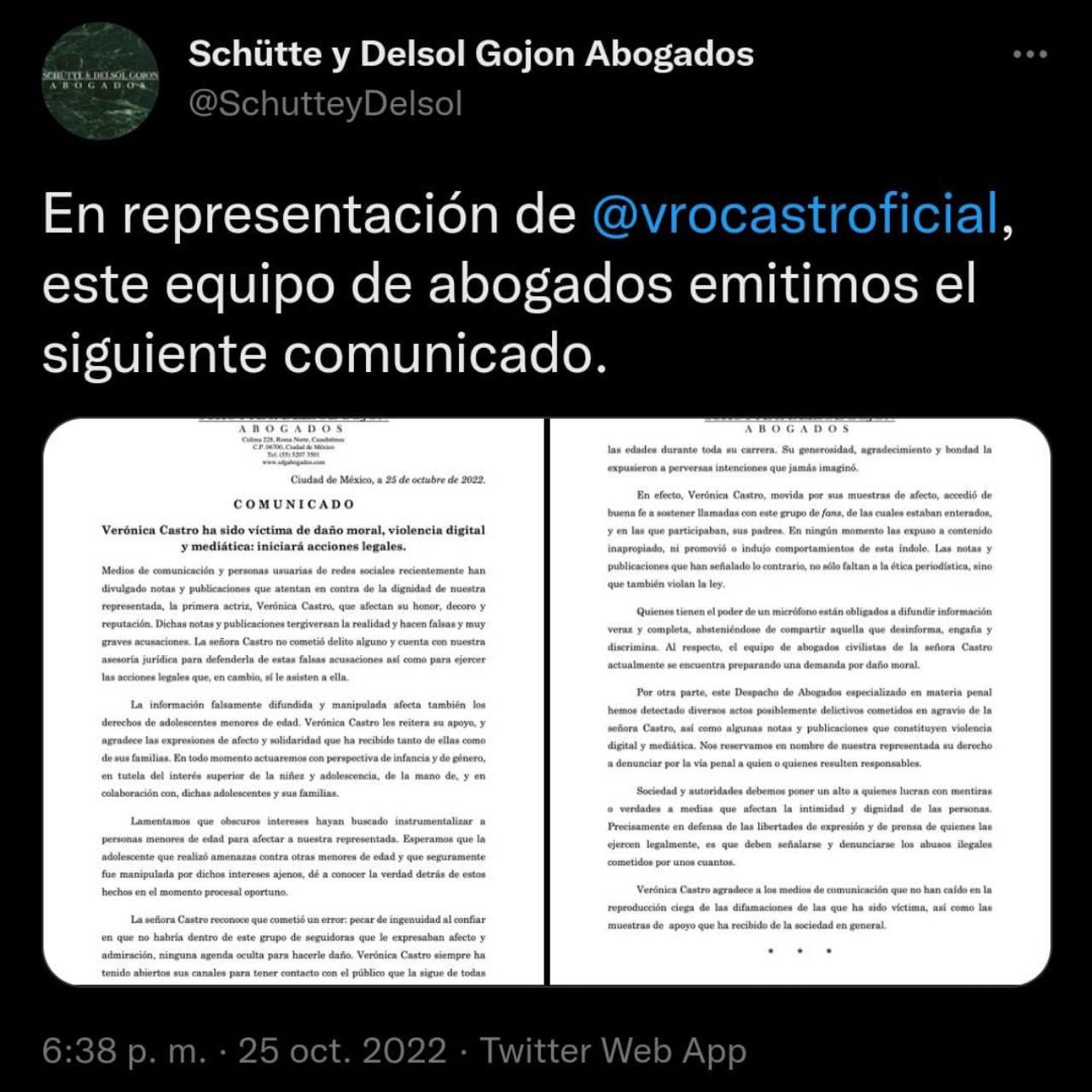 Comunicado Verónica Castro