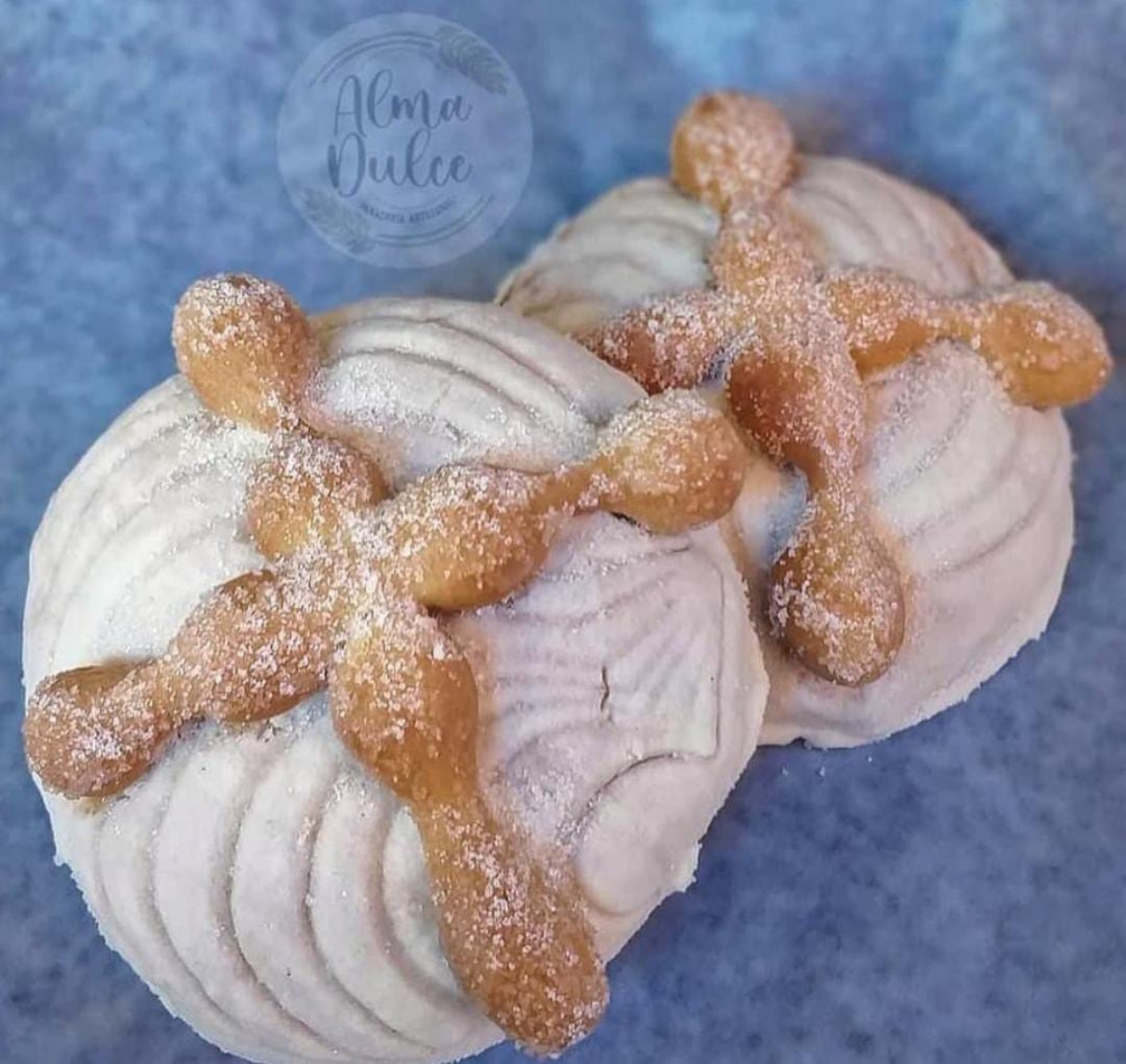 Conchas muertas
