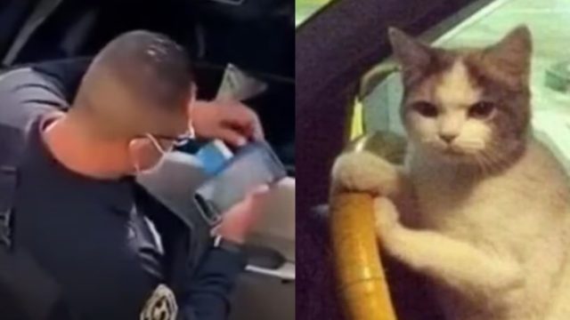 Policía tránsito mordida video