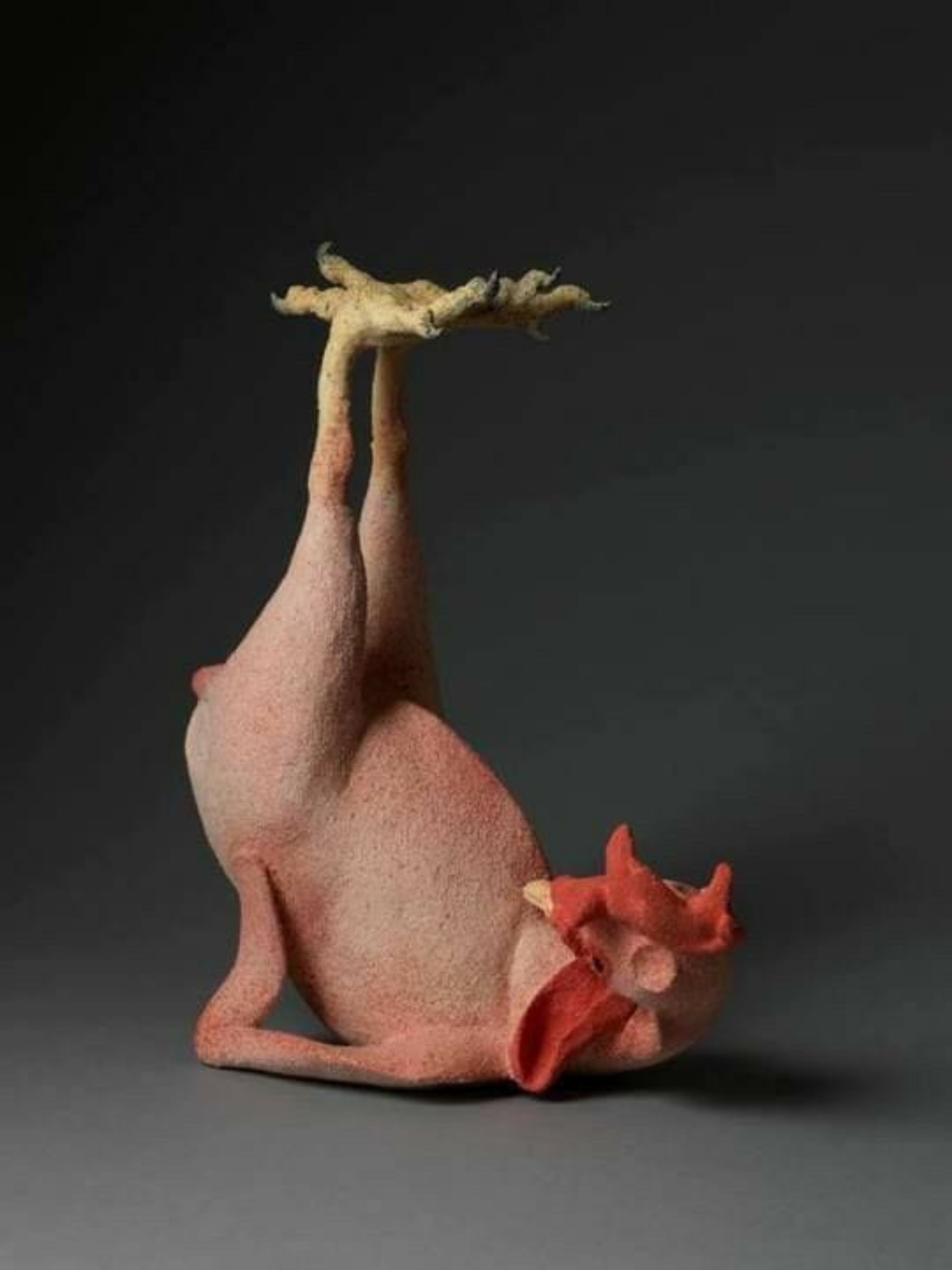 Gallo demanda