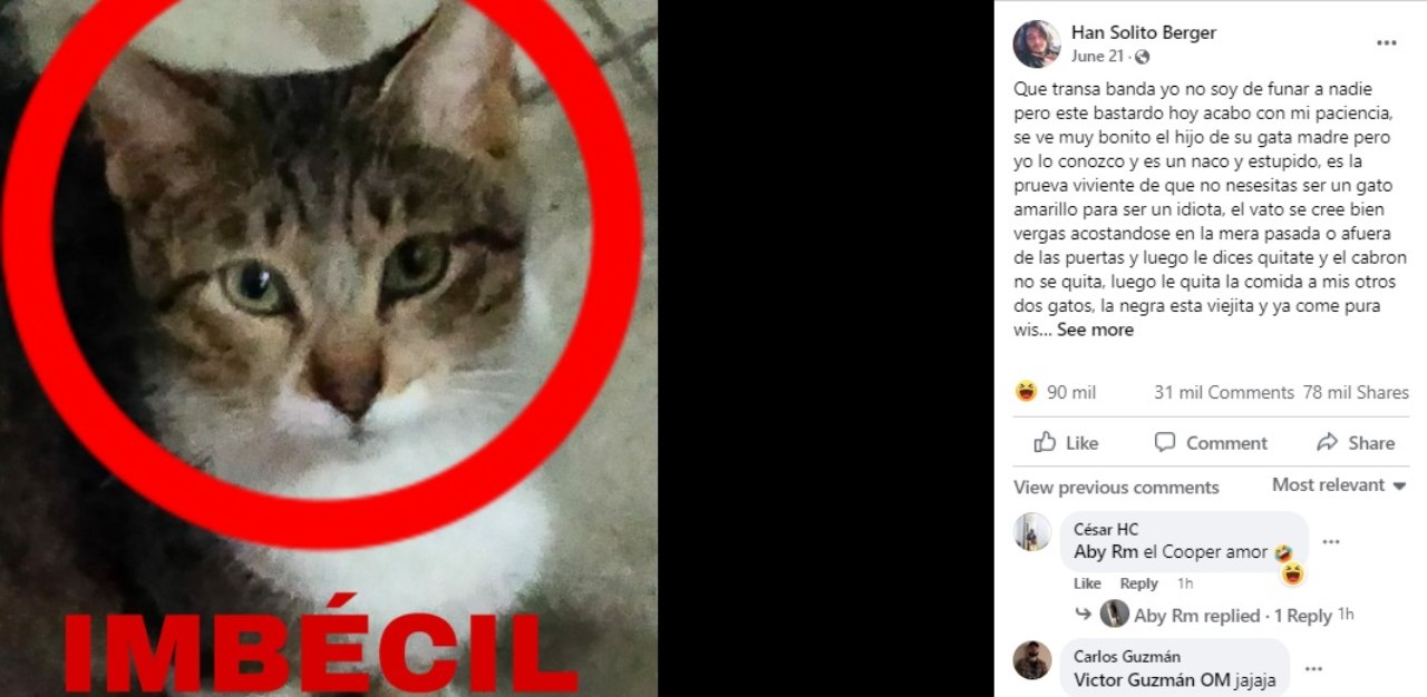 Gato exhiben falso ratero revelan crimenes