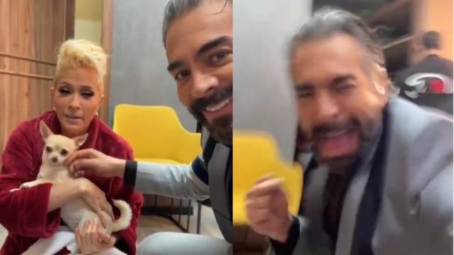 Perra de Yuri muerde Omar Chaparro