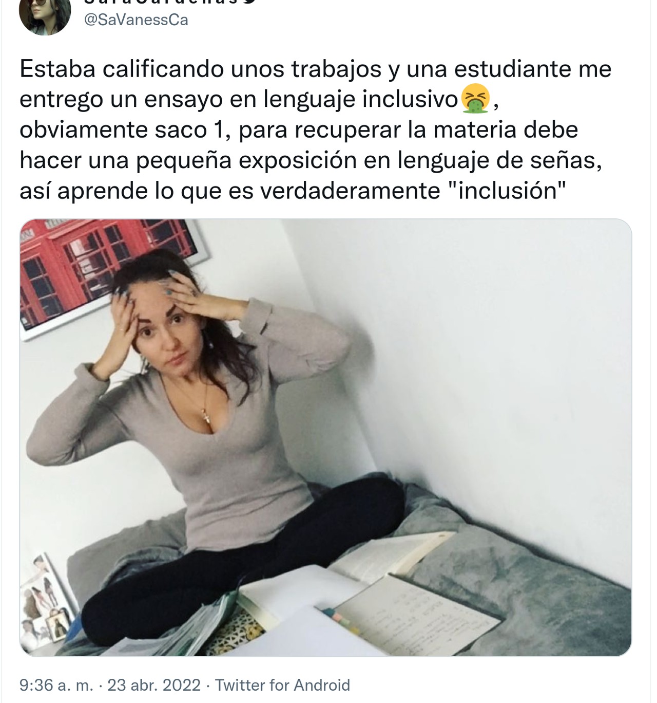maestra lenguaje inclusivo ensayo alumna