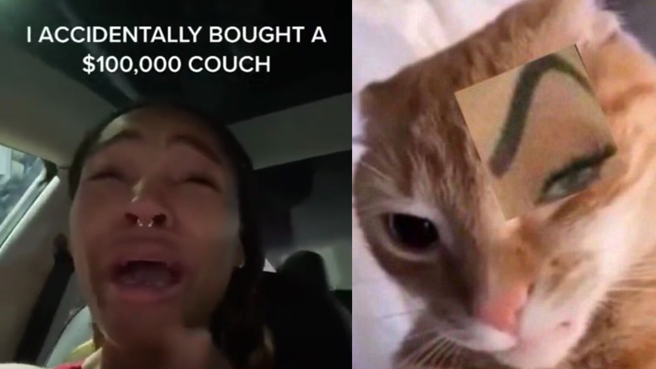 Influencer donaciones sillon millones dolares