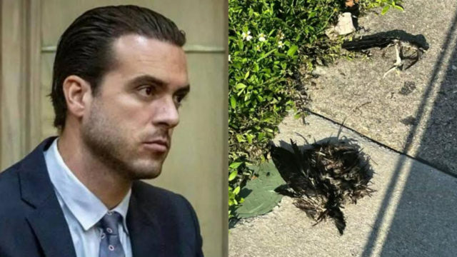 Pablo Lyle brujería