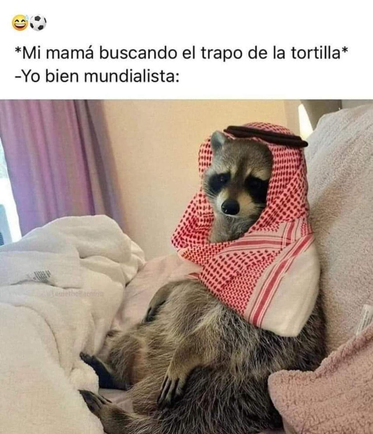 Memes MÃ©xico vs Polonia