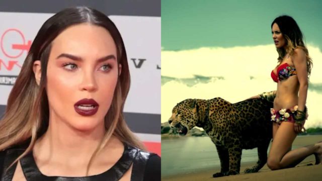 Belinda a la cÃ¡rcel por tener animales exÃ³ticos