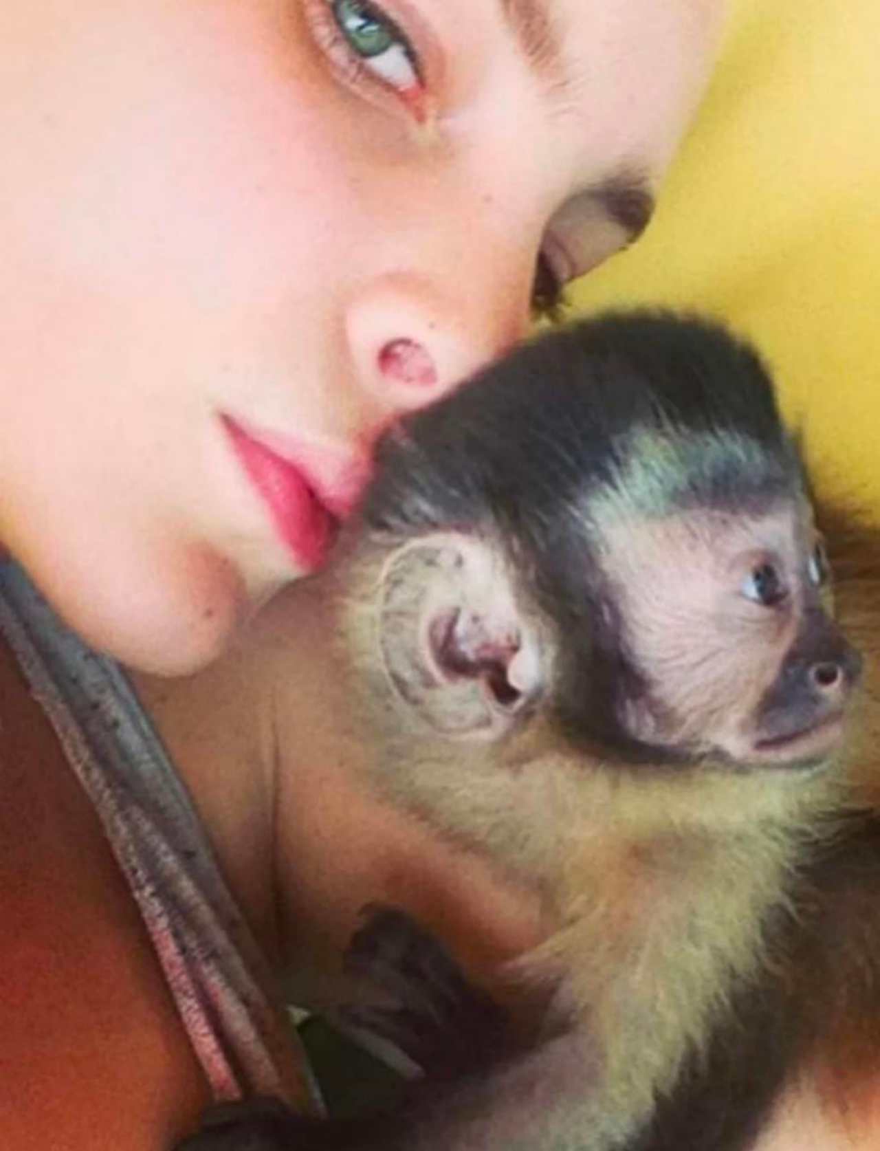 Belinda iría a la cárcel por sus animales exóticos