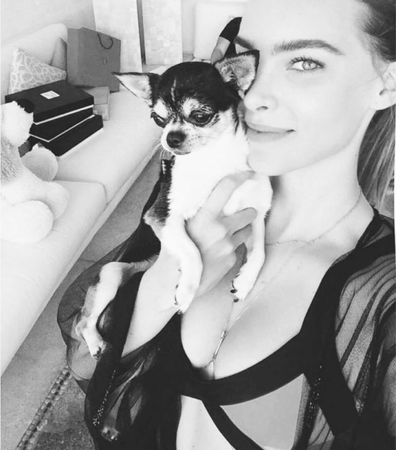 Belinda podría ir a prisión por sus animales