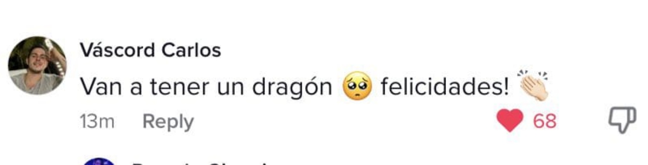 Bebe dragón