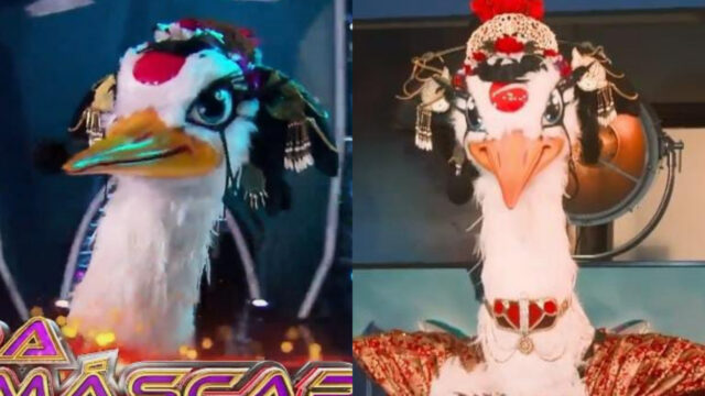 Geisha quiÃ©n es la mÃ¡scara