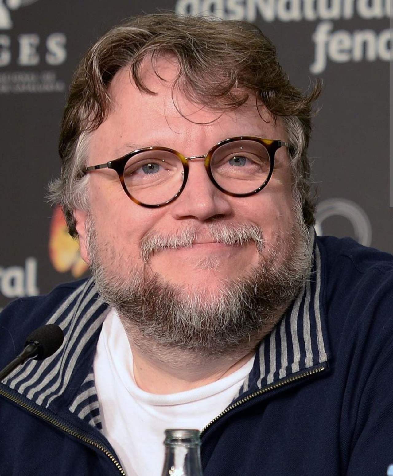 Guillermo del Toro crisis cine mexicano