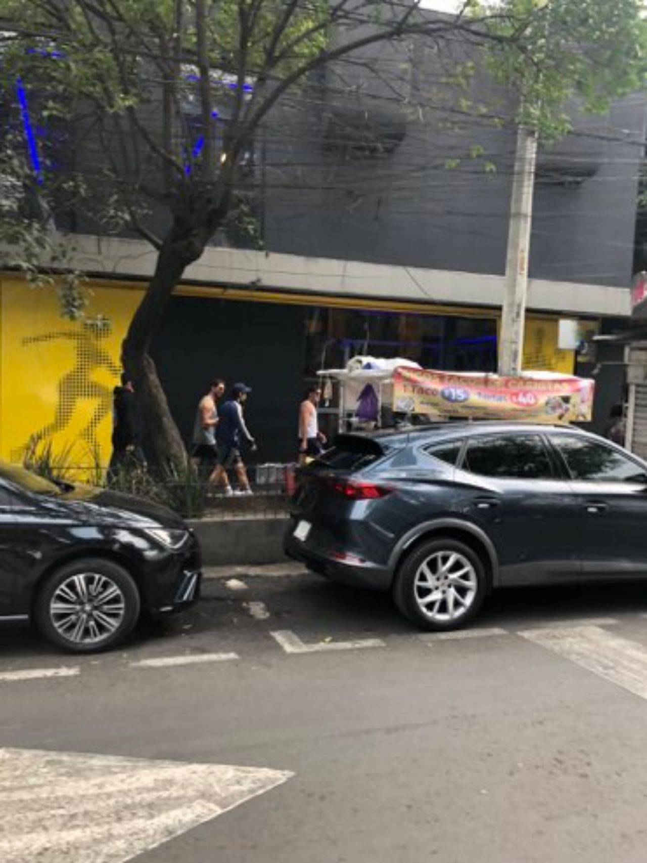 Harry Styles paseando en calles de CDMX