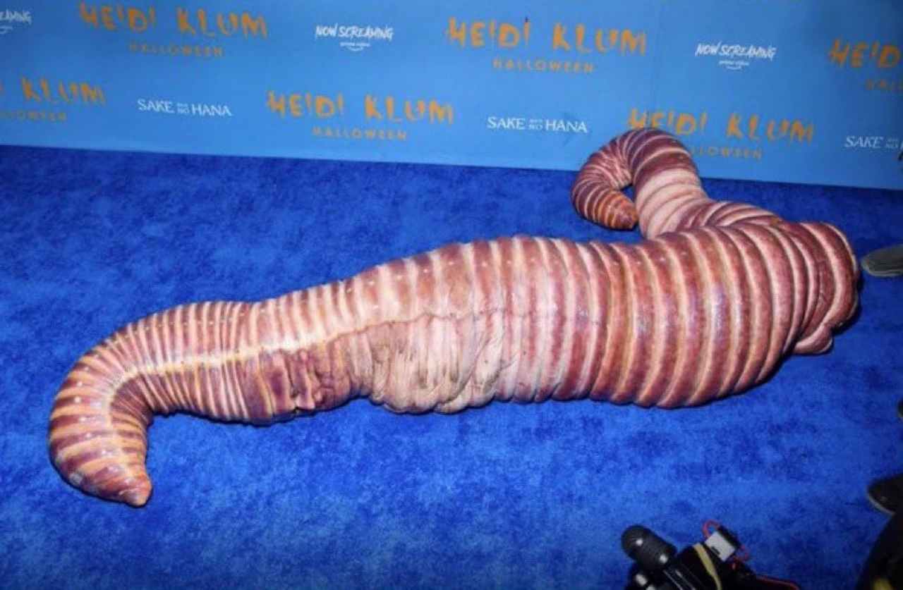 Heidi Klum gusano de agua