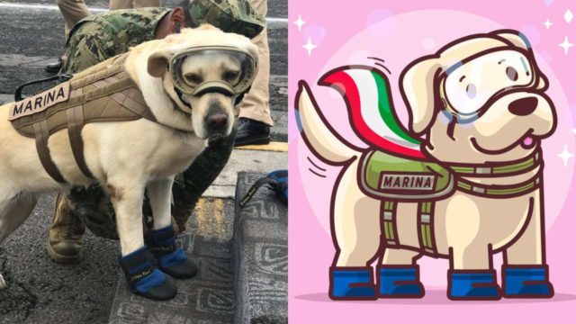 Muere Frida, la perrita rescatista