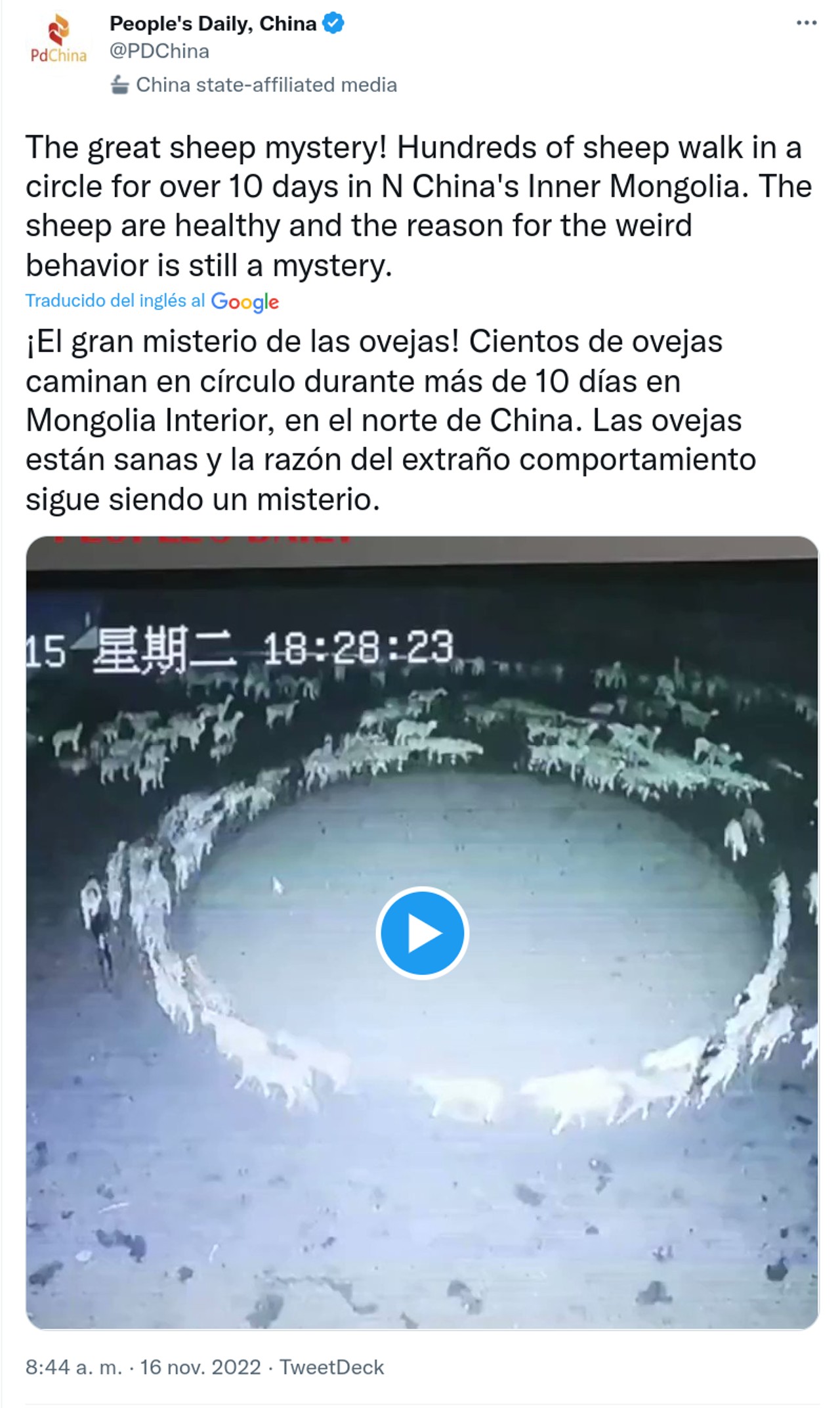 China ovejas fin del mundo