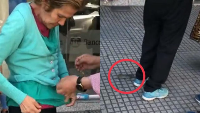 Rata señora banco