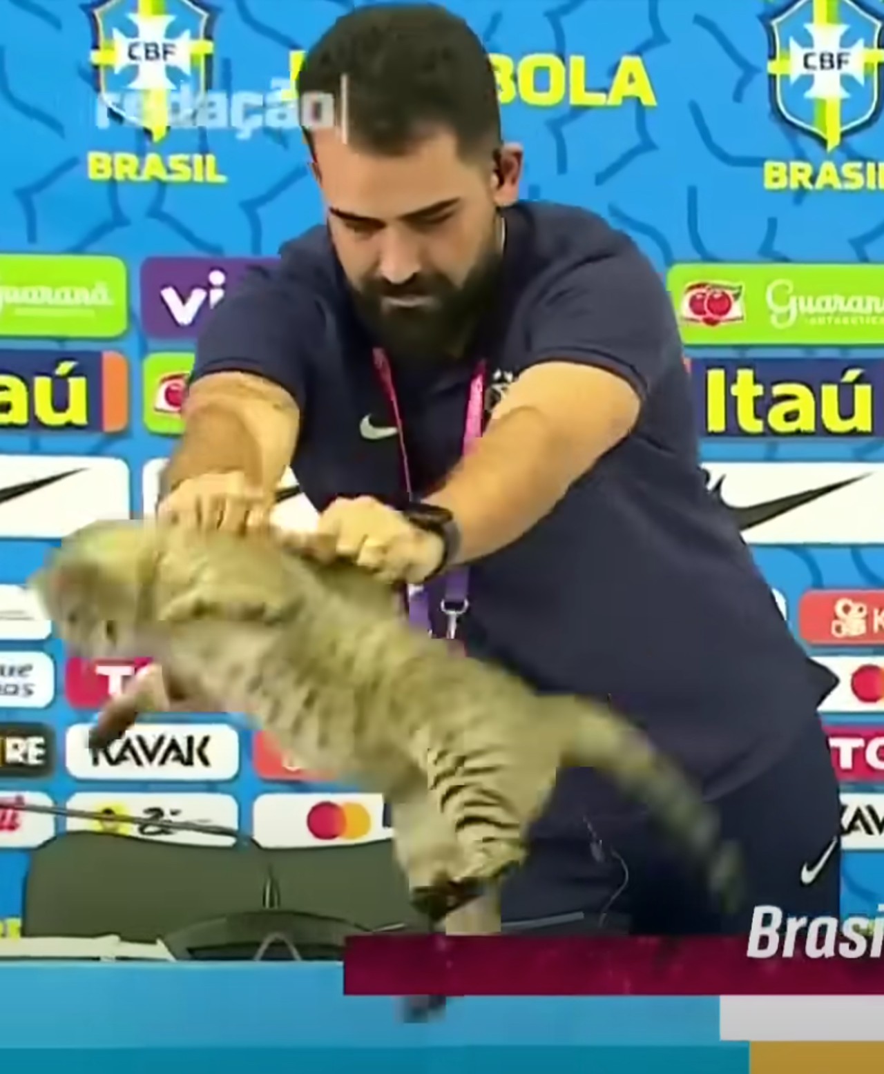 Gato Brasil Qatareliminado karma