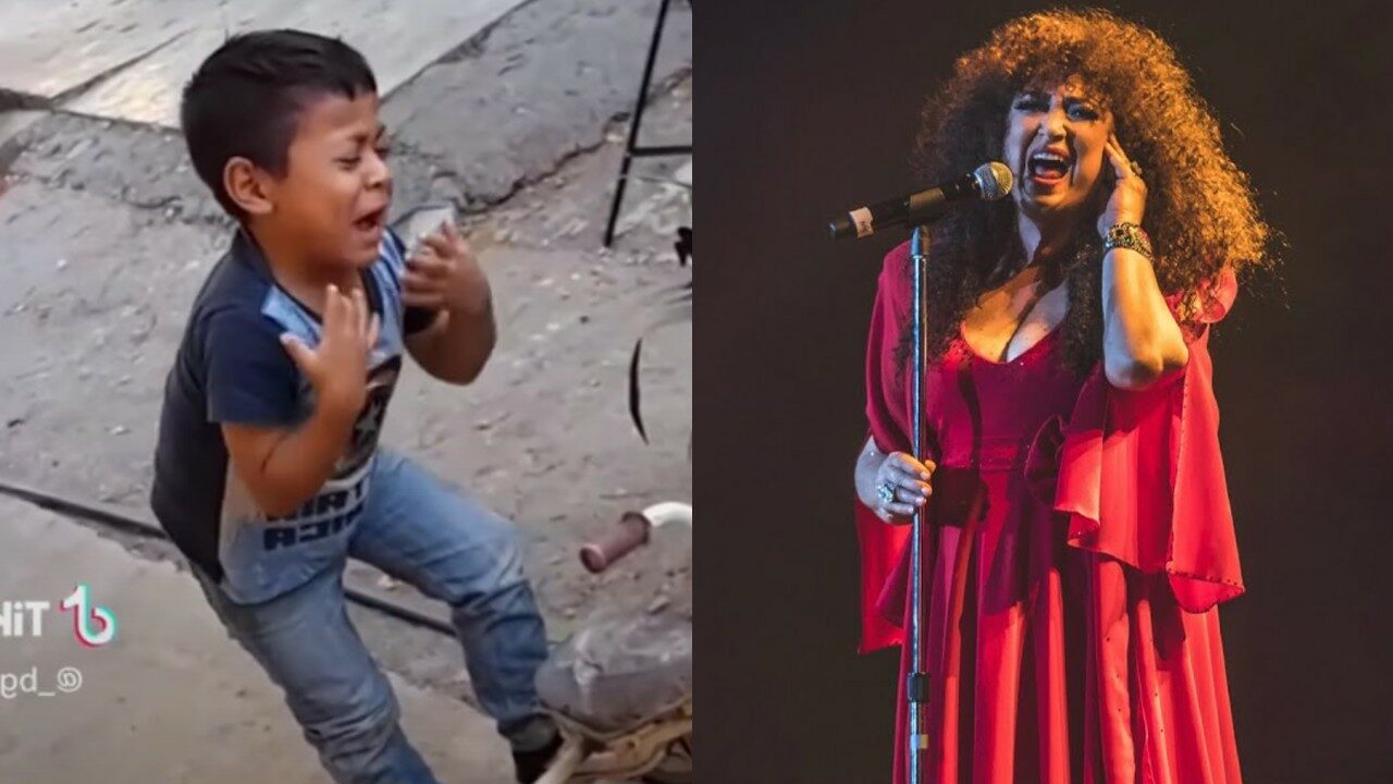 Amanda Miguel niño viral cancion castillos destacada