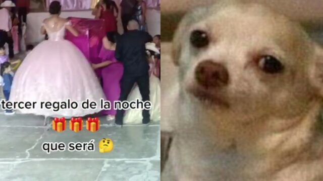 ay noo Niñas quinceañera destacada