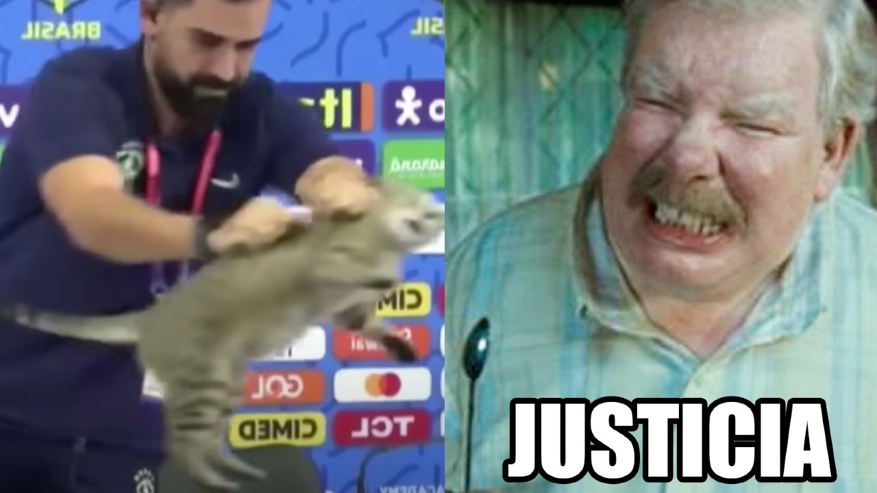 federación brasileña maltrato animal