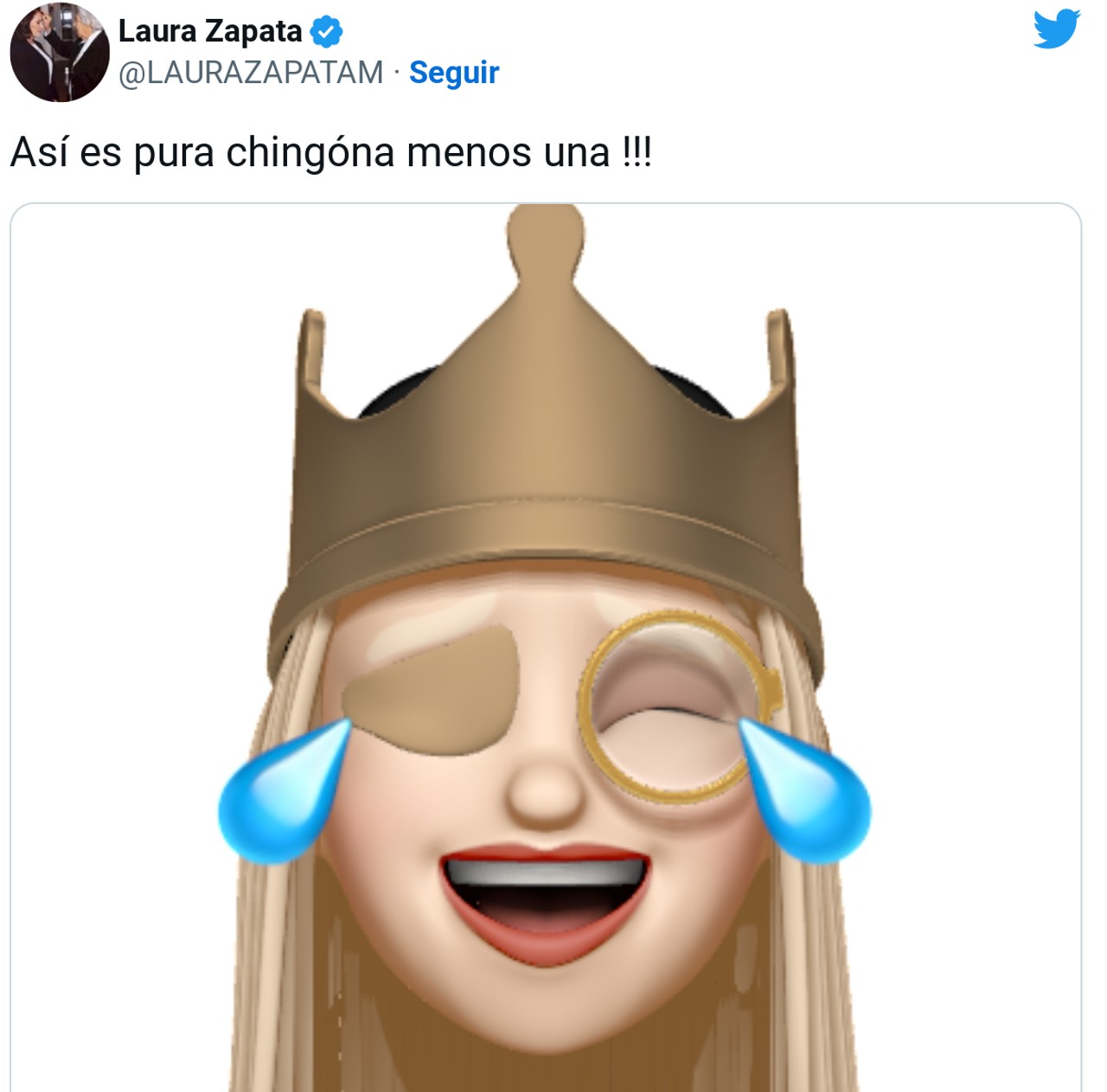 Laura Zapata Méndez twitter