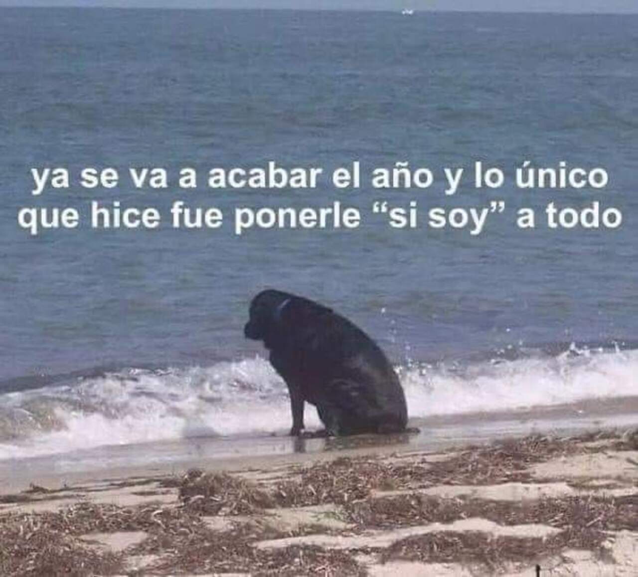 Memes año nuevo 2023
