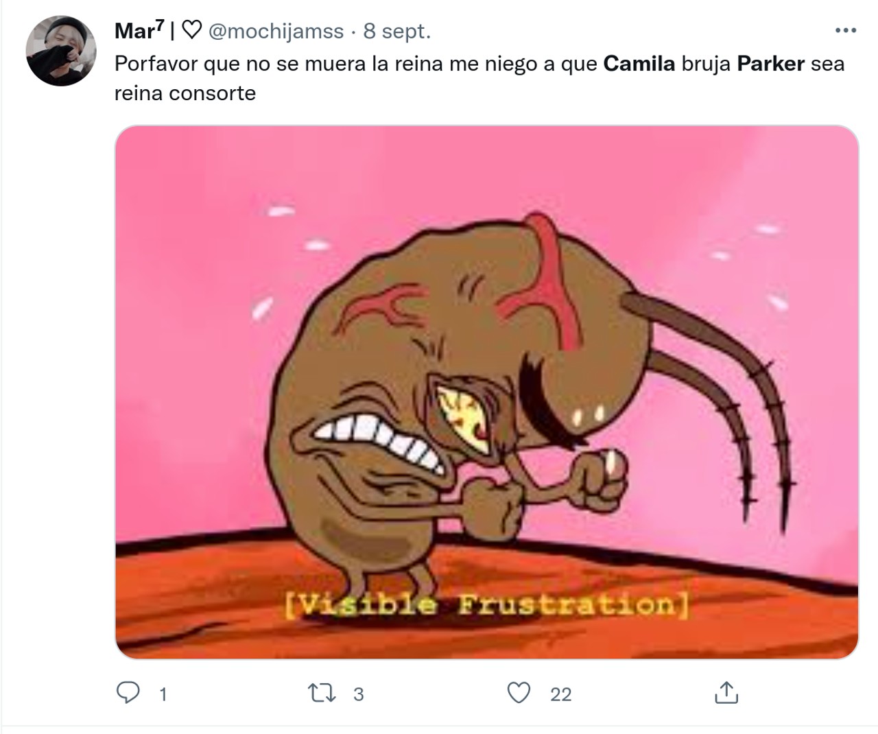 memes septiembre camila parker ano nuevo