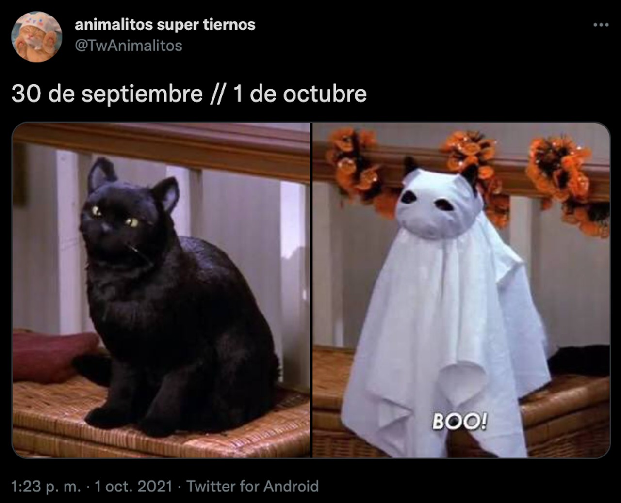 memes octubre ano nuevo