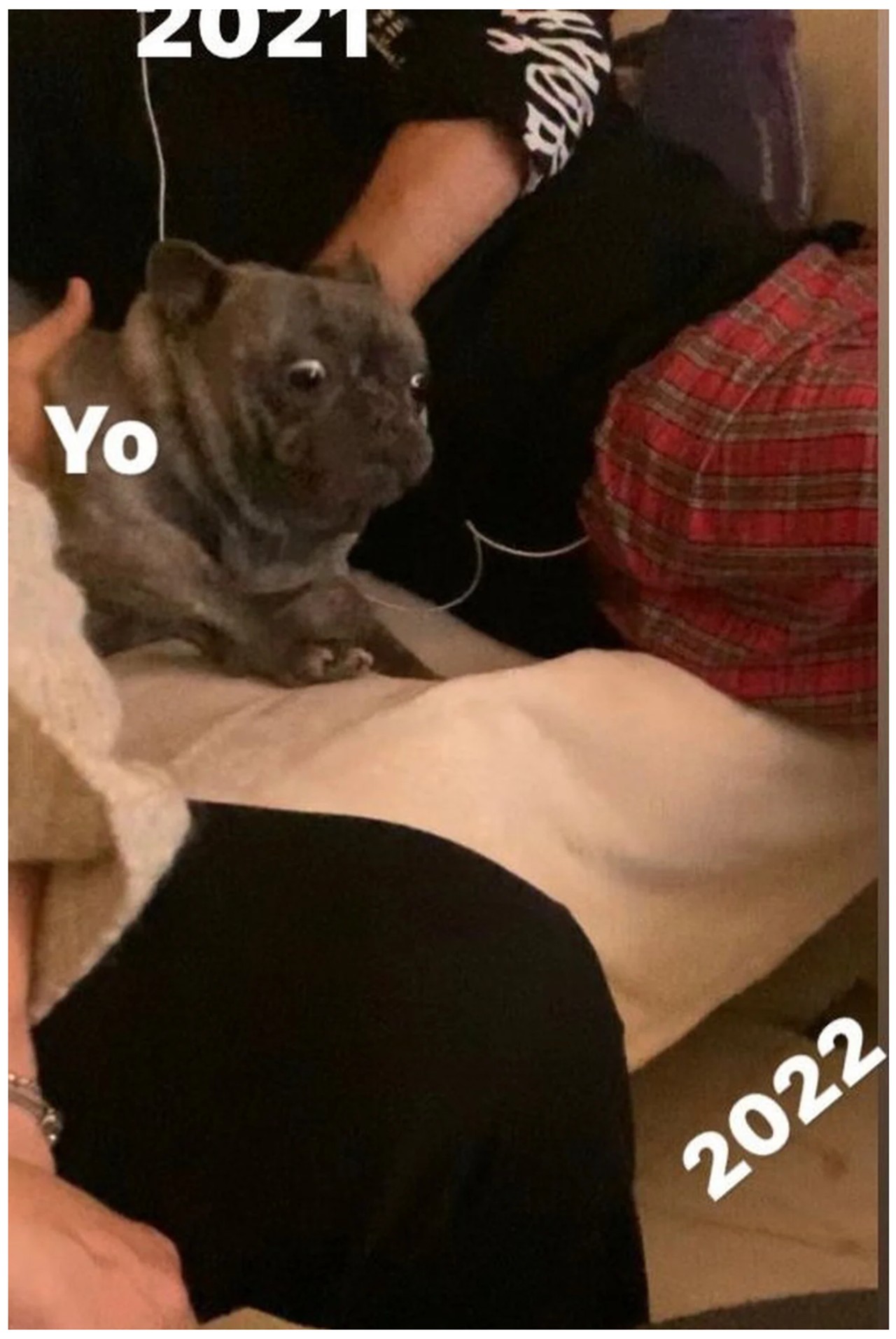 destacada memes enero ani nuevo