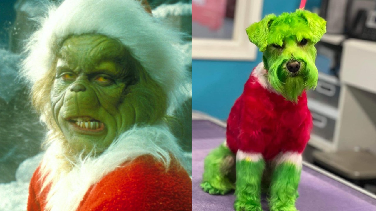Mujer pinta perro verde parecerse Grinch