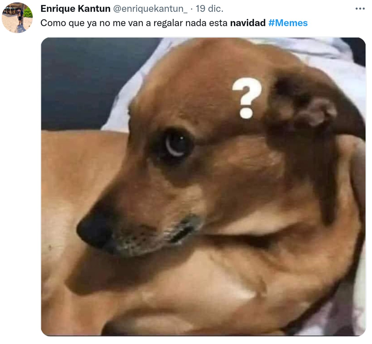 memes navidad cena abuelos perrito