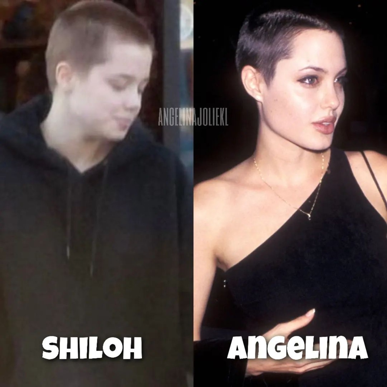 Angelina Jolie hija Shiloh rapadas look