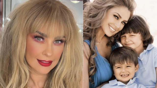 Aracely Arámbula hijo Luis
