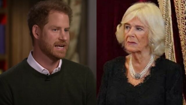 Harry Camilla prensa destacada