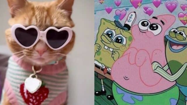 Gatita influencer Instagram