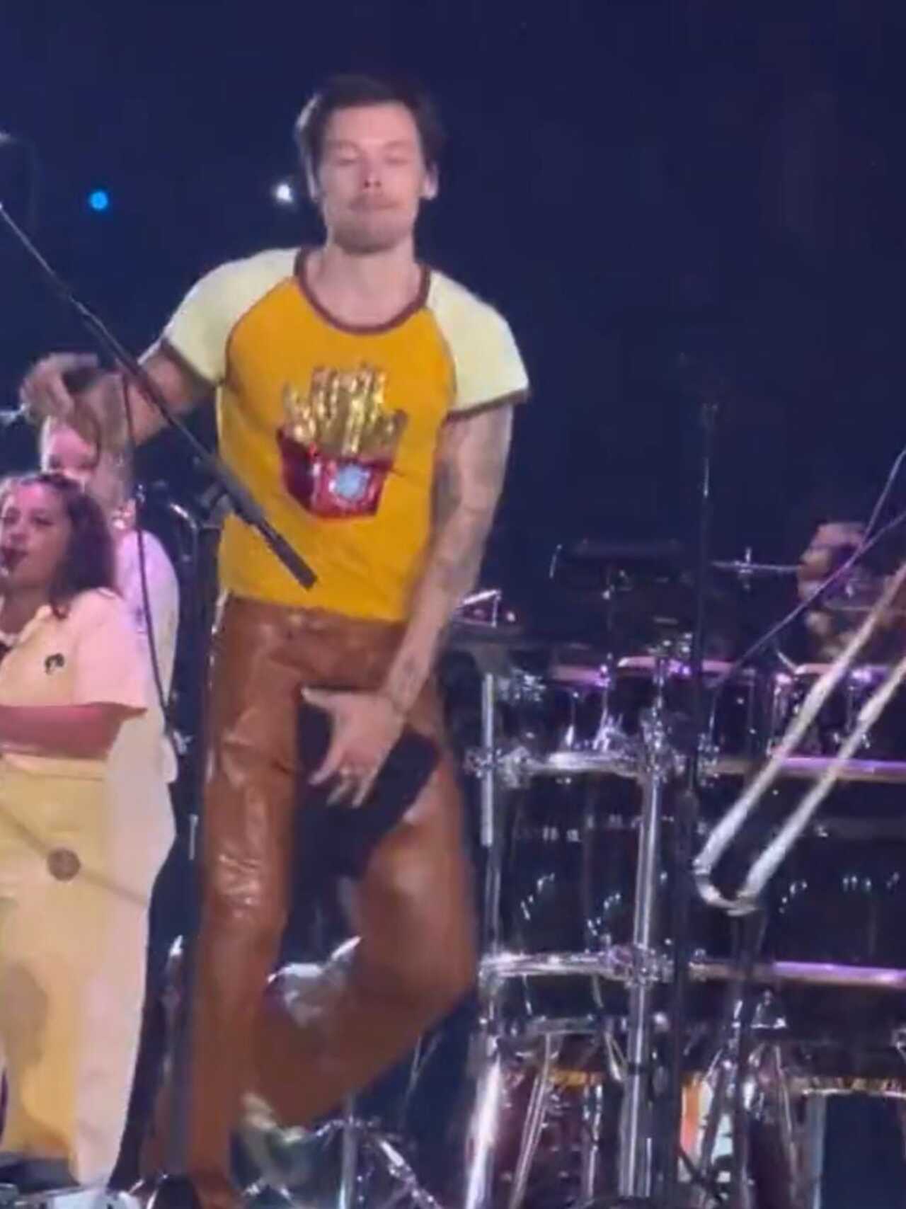 Harry Styles pantalón concierto