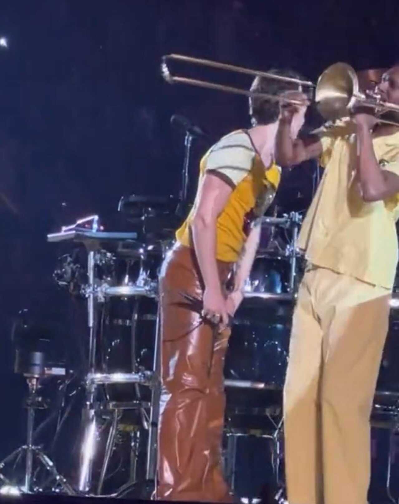 Harry Styles pantalón roto