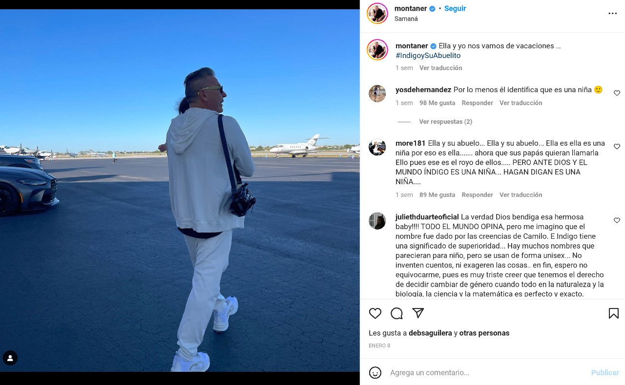 Ricardo Montaner Índigo niete